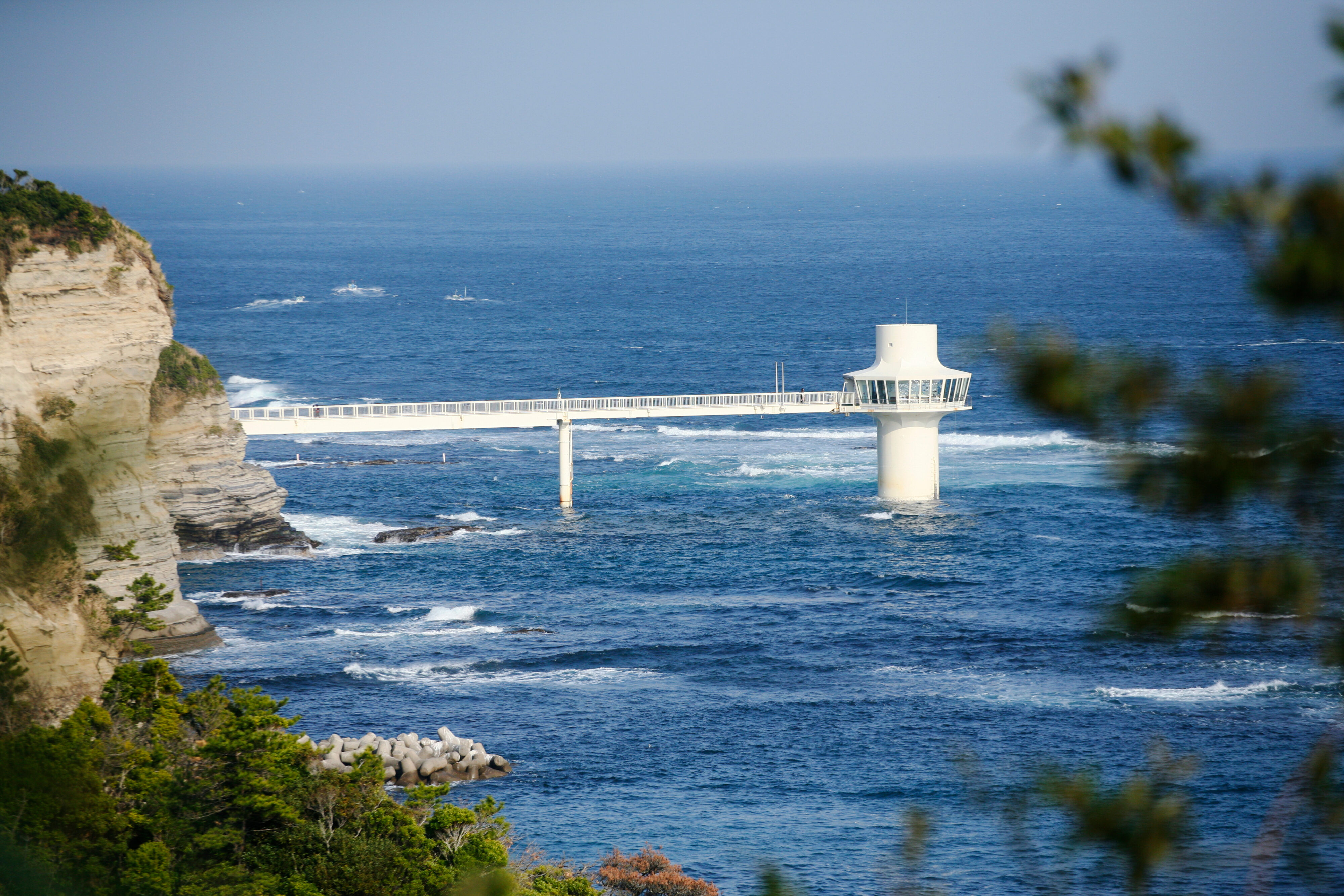 海の幸と里山に満たされた、勝浦の海岸線 ｜ Blueberry